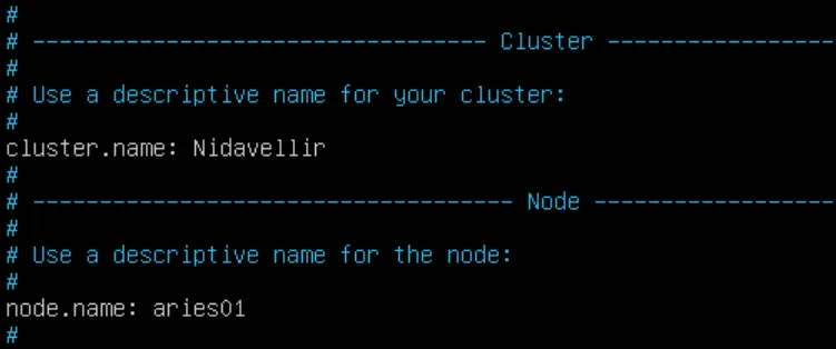 Elasticsearch Cluster Name
